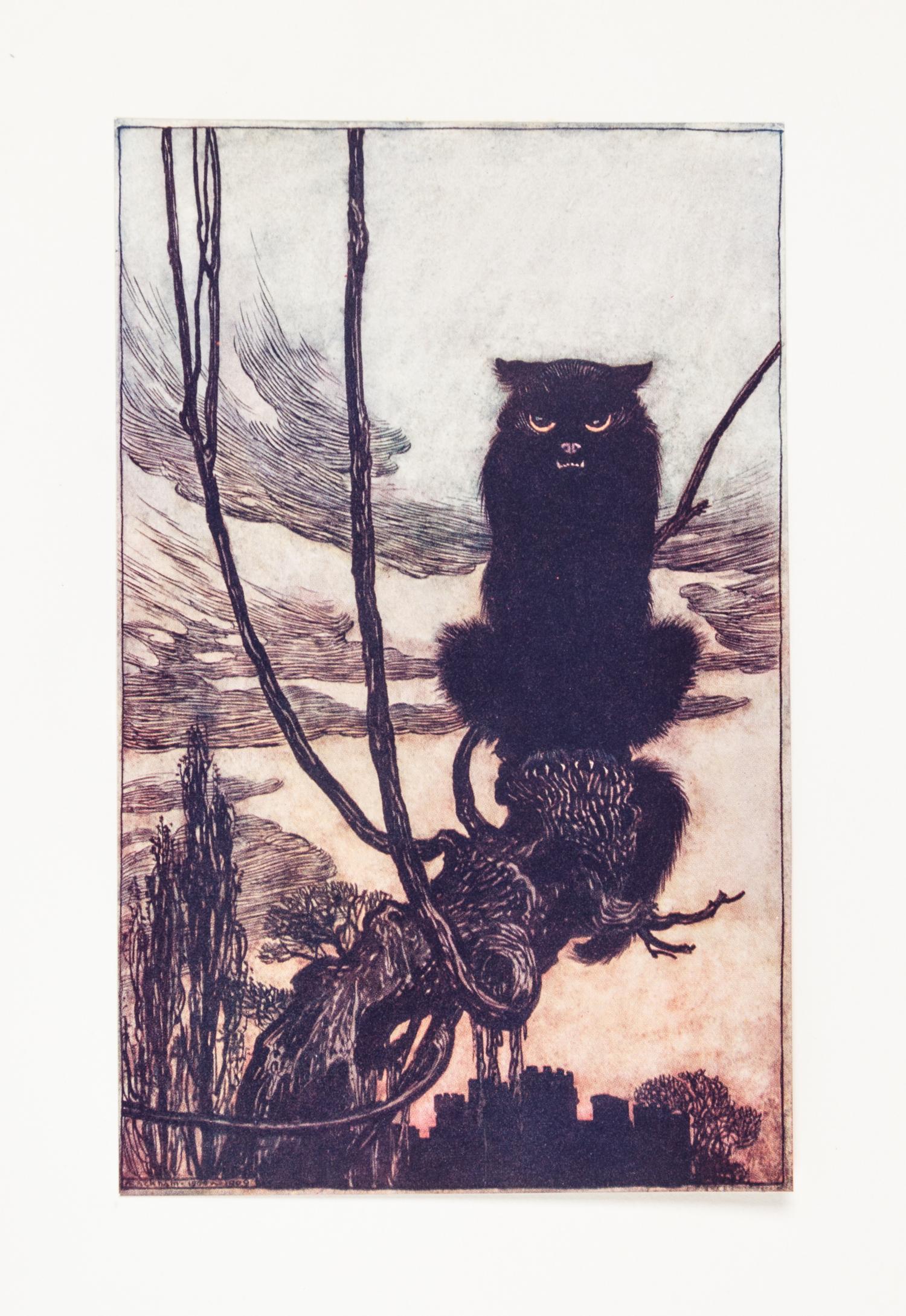 (RACKHAM, ARTHUR) GRIMM BROTHERS. The Fairy Tales of the Brothers Grimm. Limited, signed.