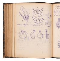 [BOTANY & GARDENING -- MANUSCRIPTS]. A group of 5 manuscripts, comprising: