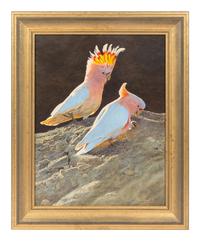 Major Mitchell's Pink Cockatoos , 2001