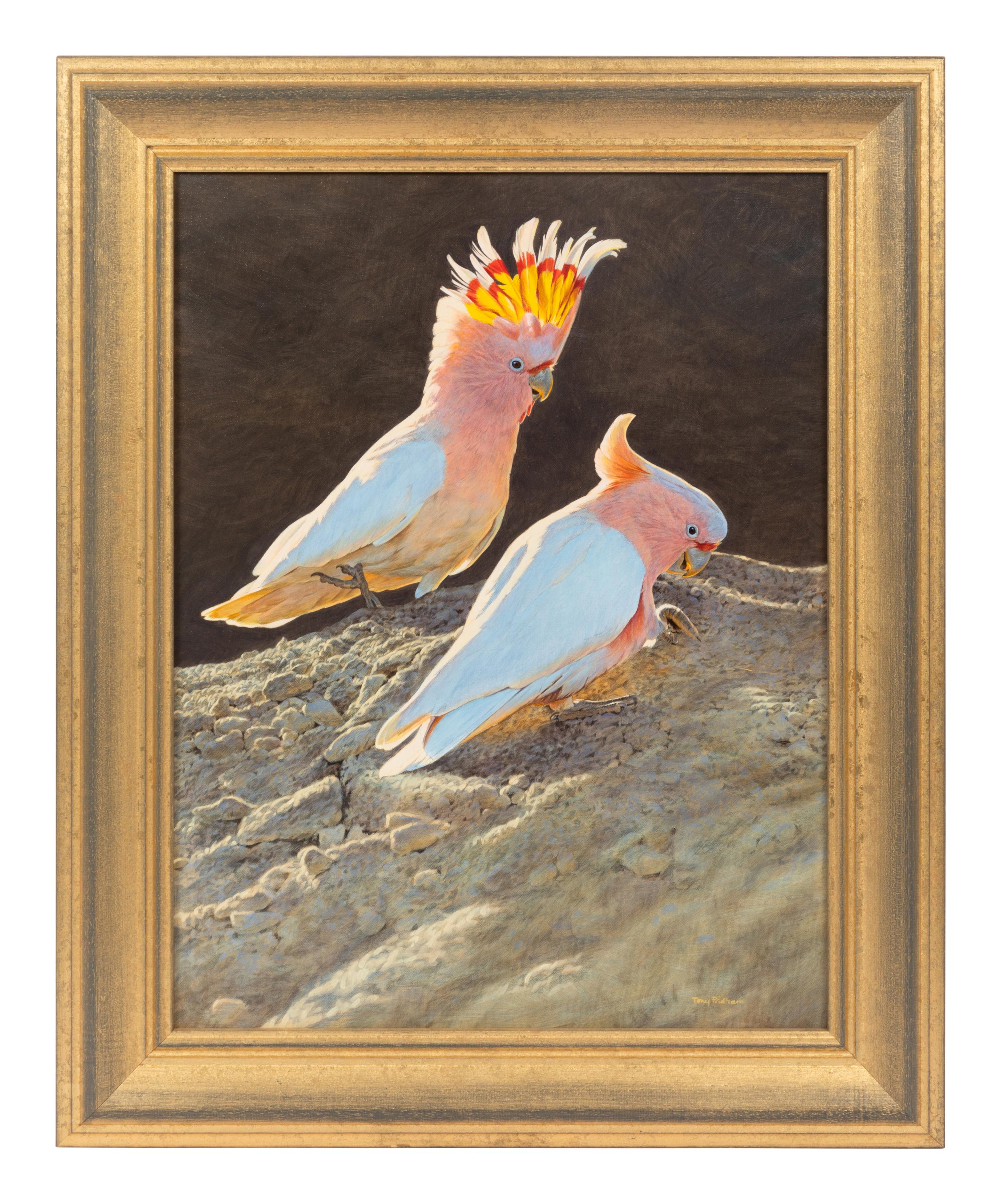 Major Mitchell's Pink Cockatoos , 2001