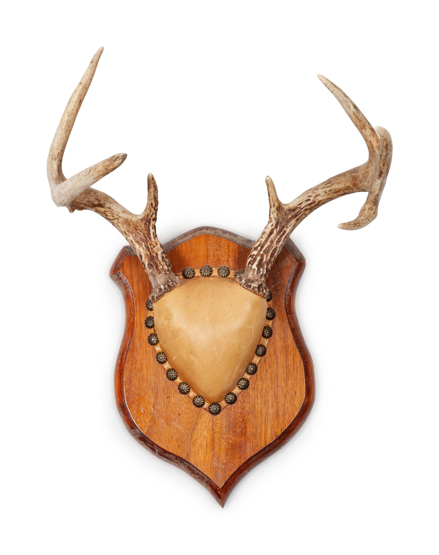 Three Decorative Horn and Antler Mounts