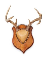 Three Decorative Horn and Antler Mounts