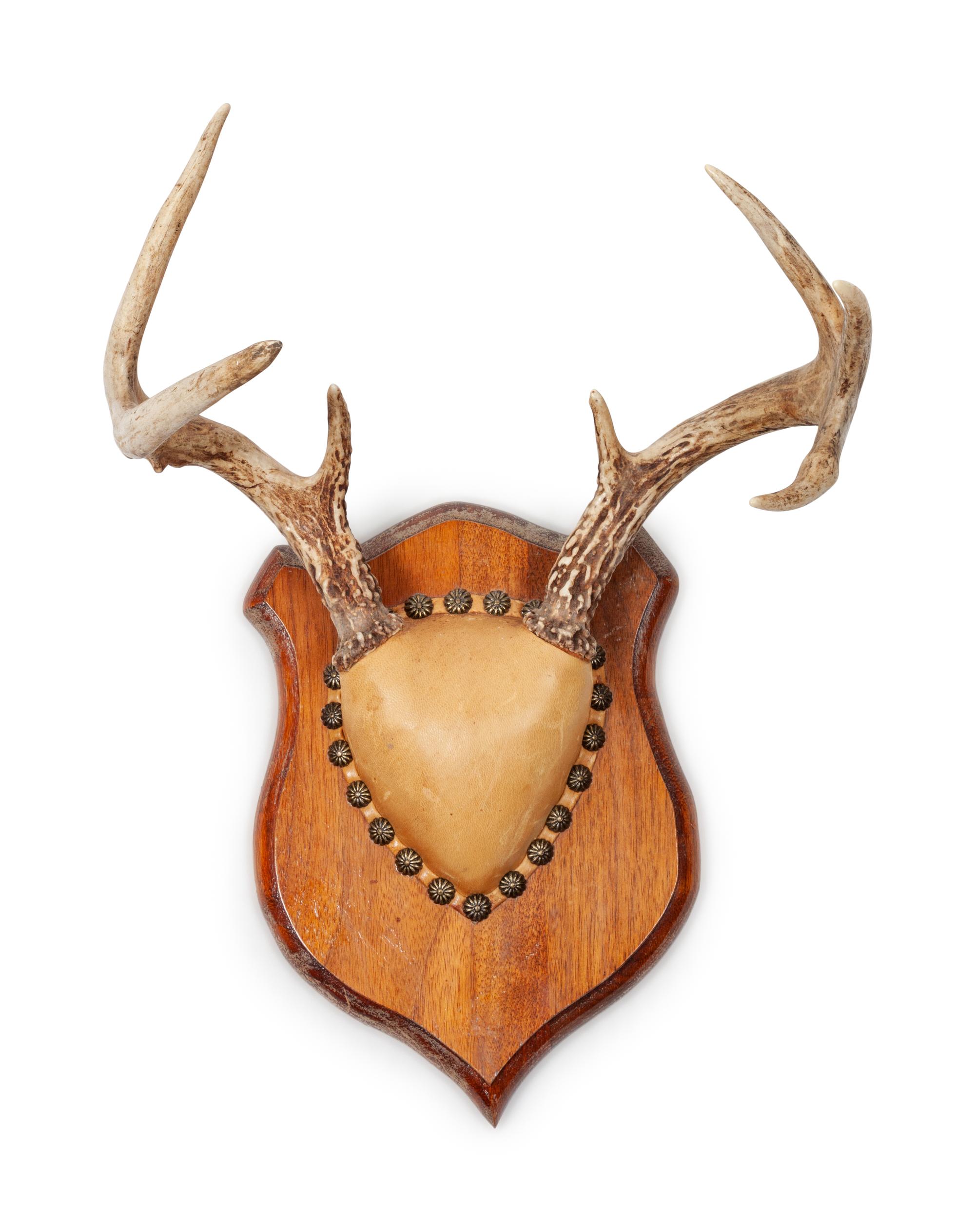 Three Decorative Horn and Antler Mounts