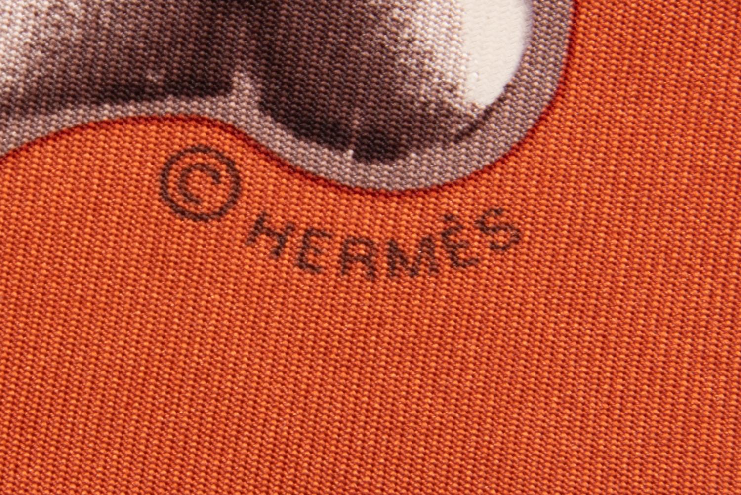 Two Hermès Scarves