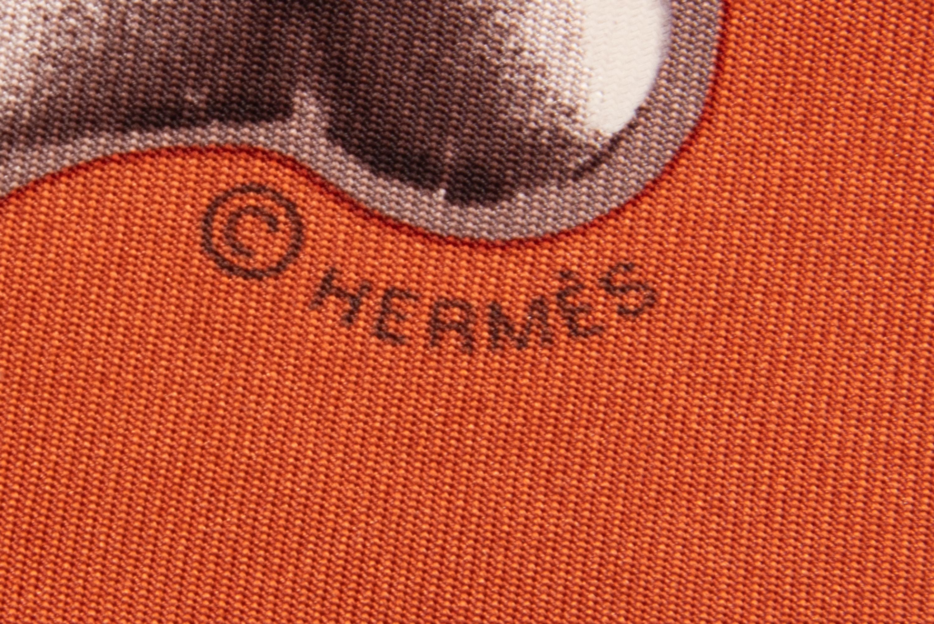 Two Hermès Scarves