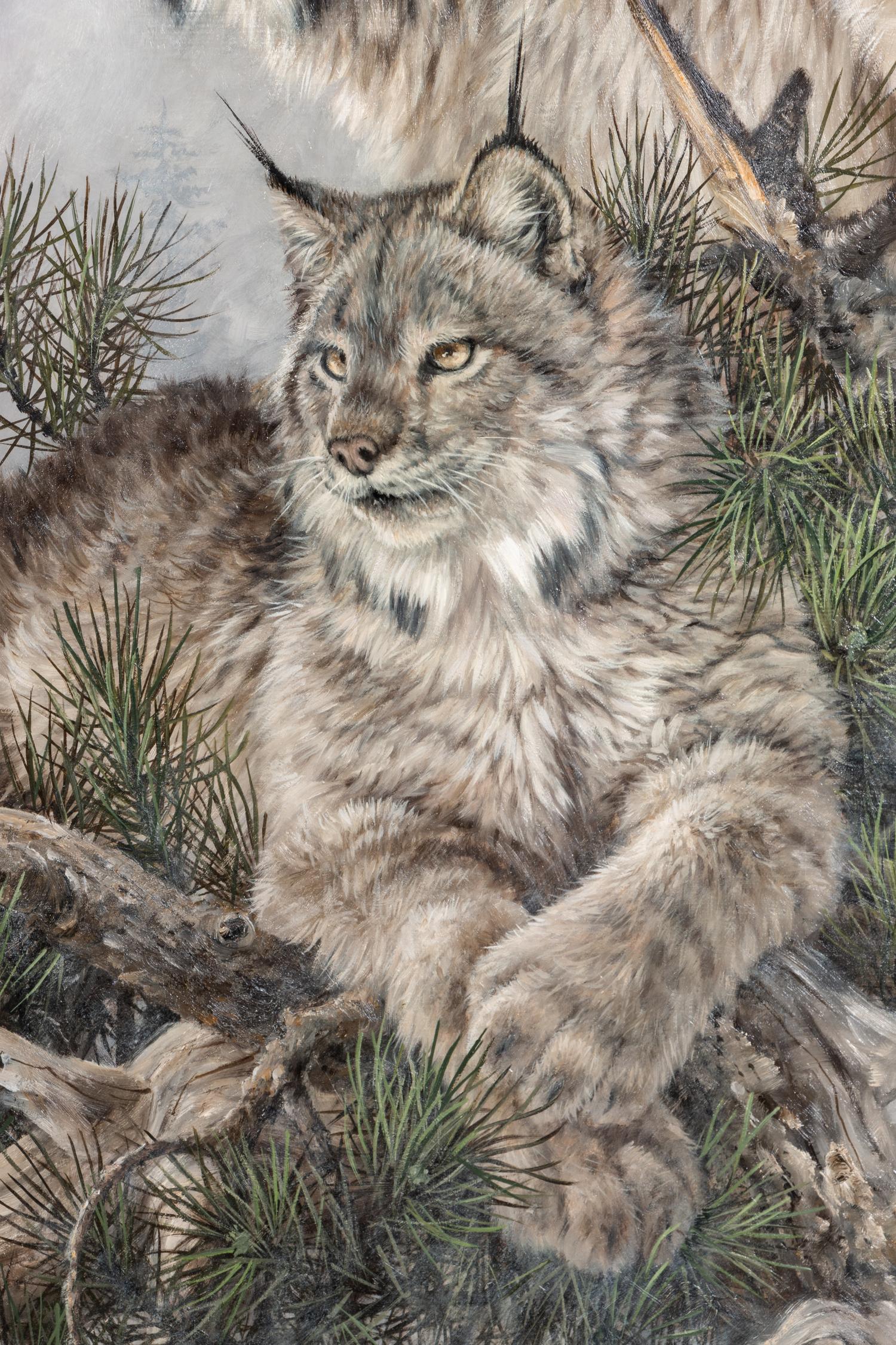 Bobcats