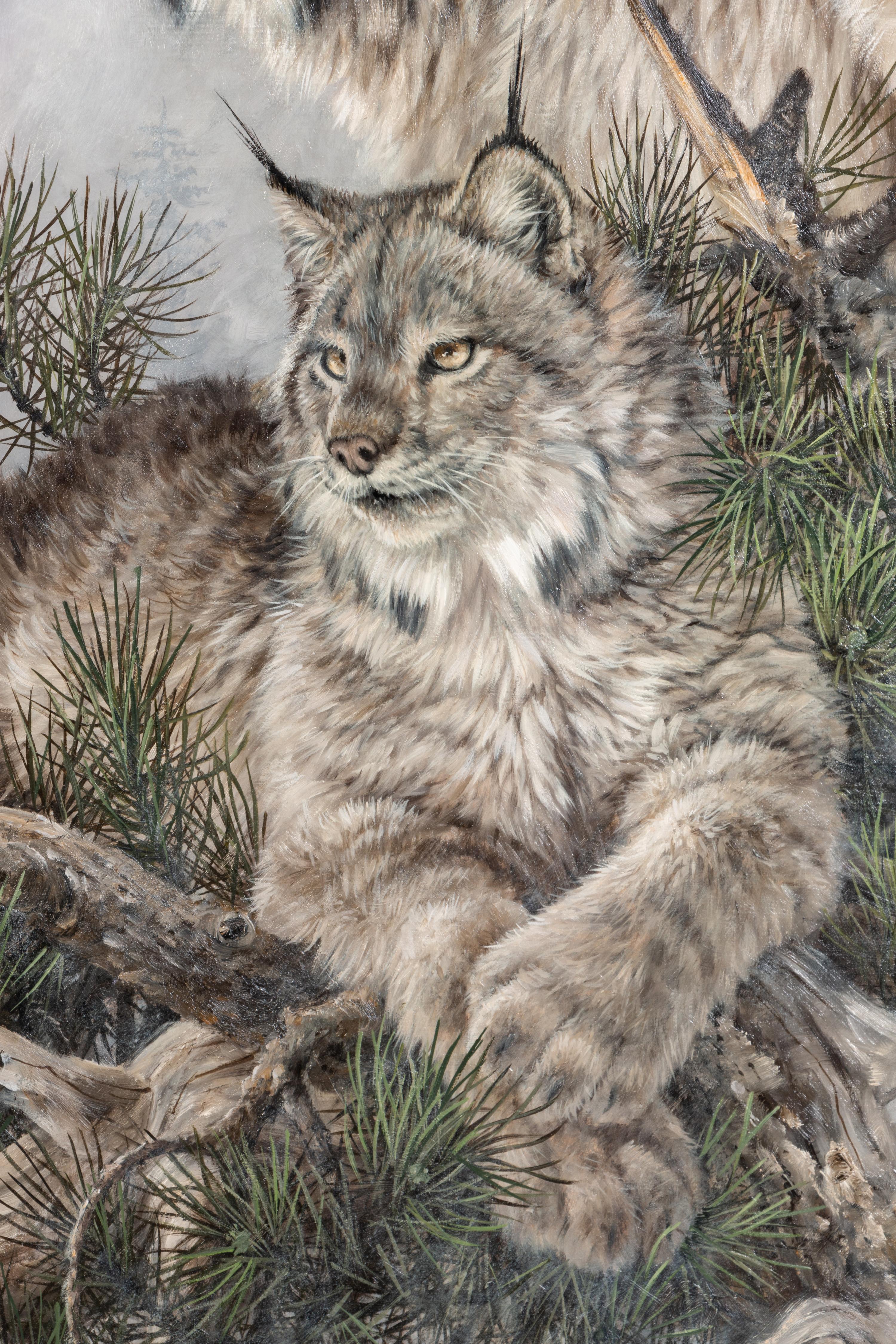 Bobcats