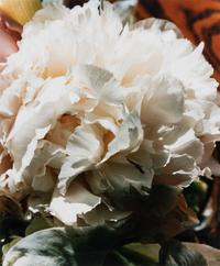 A group of three works (Get These Flowers Off My Head; Intensity II; Winter Scene)