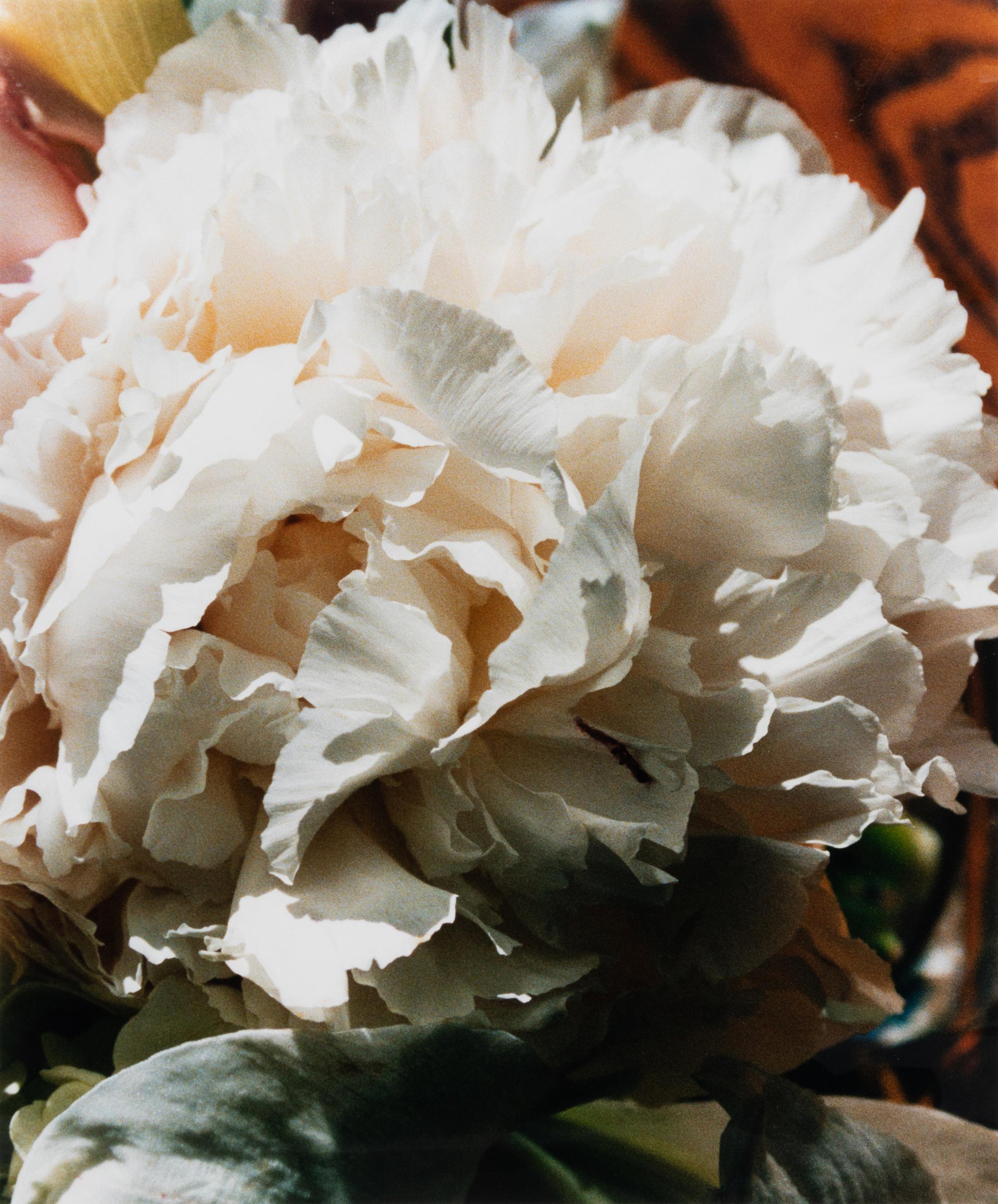 A group of three works (Get These Flowers Off My Head; Intensity II; Winter Scene)