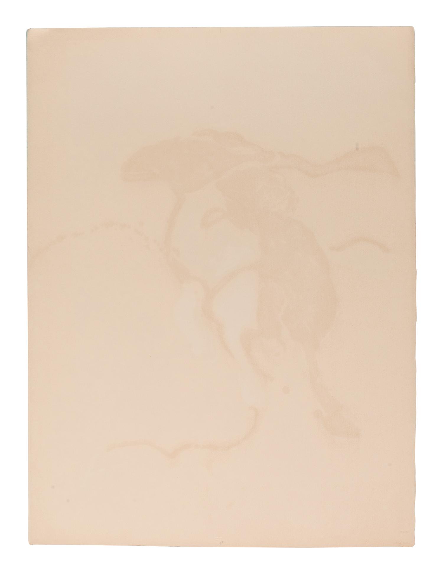 Indian on Galloping Horse After Remington #2 (State I) , edition 13/50