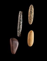 71 Neolithic Stone Labrets and Plugs