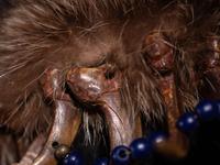Northern Plains Bear Claw Necklace