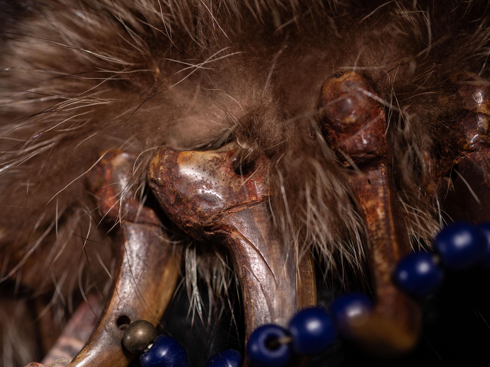 Northern Plains Bear Claw Necklace