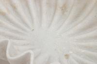 A Pair of Italian Carved Fluted Bowls
