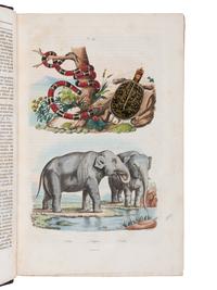 [NATURAL HISTORY]. GUERIN, Félix Édouard (1799-1874). Dictionnaire pittoresque d'histoire naturelle et des phénomènes de la nature . Paris: Au Bureau de Souscription, 1834-1839.