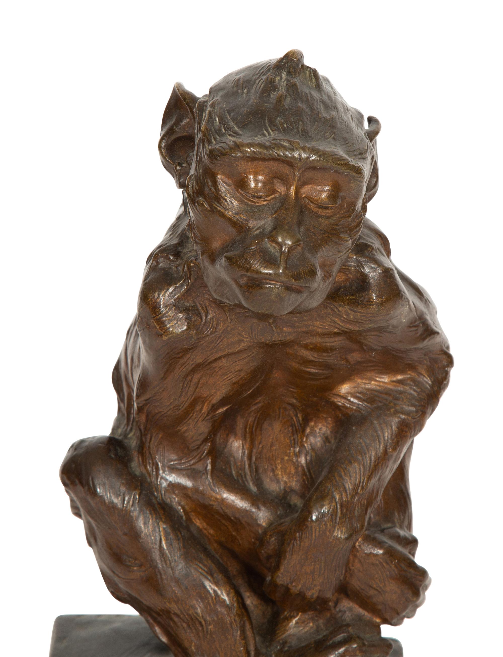 Singe pensif, 1908