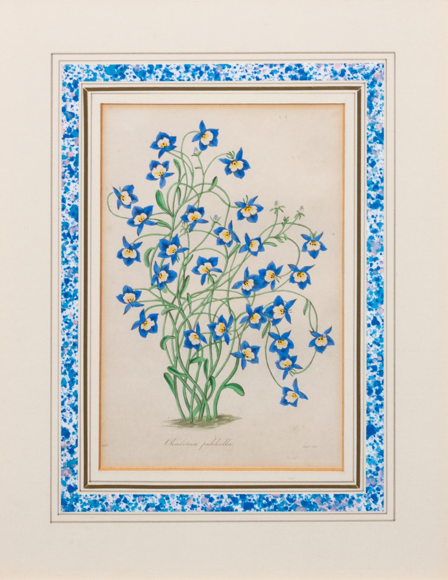 A Group of Three Handcolored Botanical Engravings Largest: 19 3/4 x 15 1/4 inches.