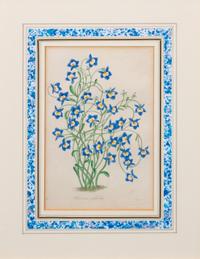 A Group of Three Handcolored Botanical Engravings Largest: 19 3/4 x 15 1/4 inches.