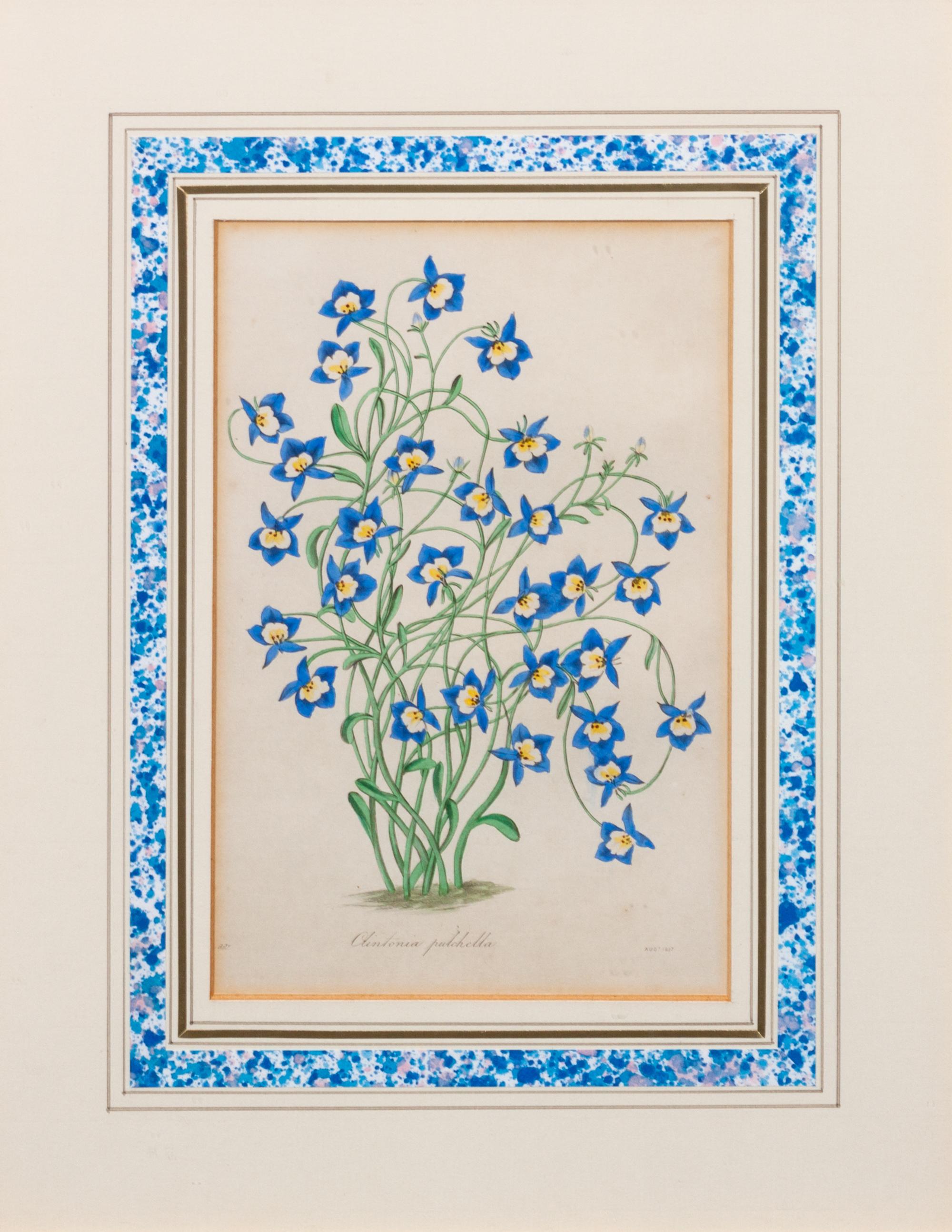 A Group of Three Handcolored Botanical Engravings Largest: 19 3/4 x 15 1/4 inches.