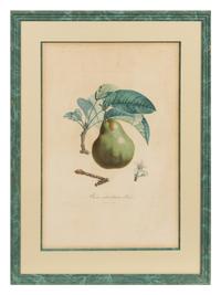 A Set of Six Botanical Prints 19 x 12 1/2 inches. — 19TH CENTURY