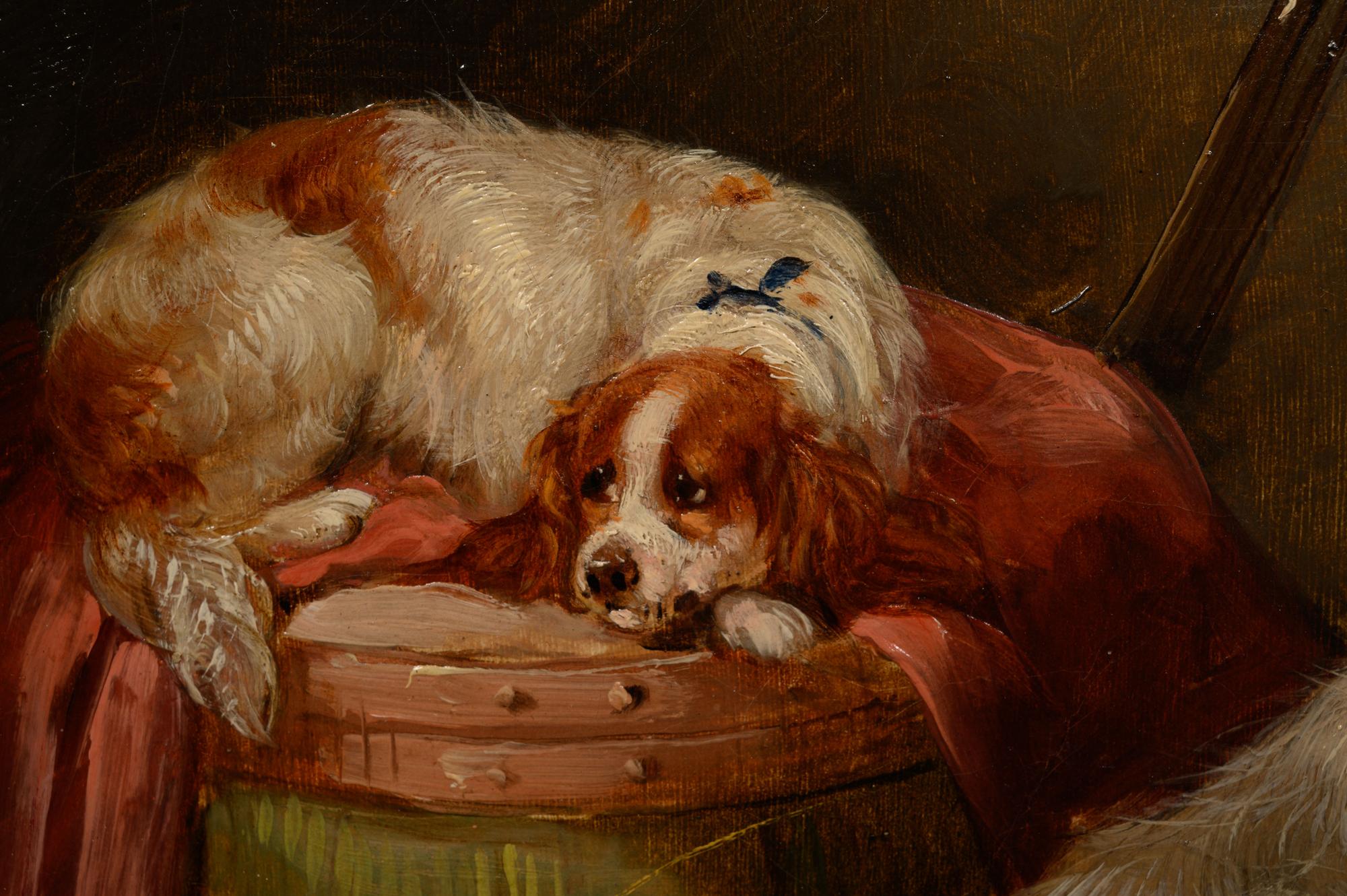 George Armfield (British, 1808-1893)
