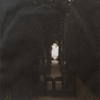A pair of photographs from the South of England series ( Path and Gate; Trees)
