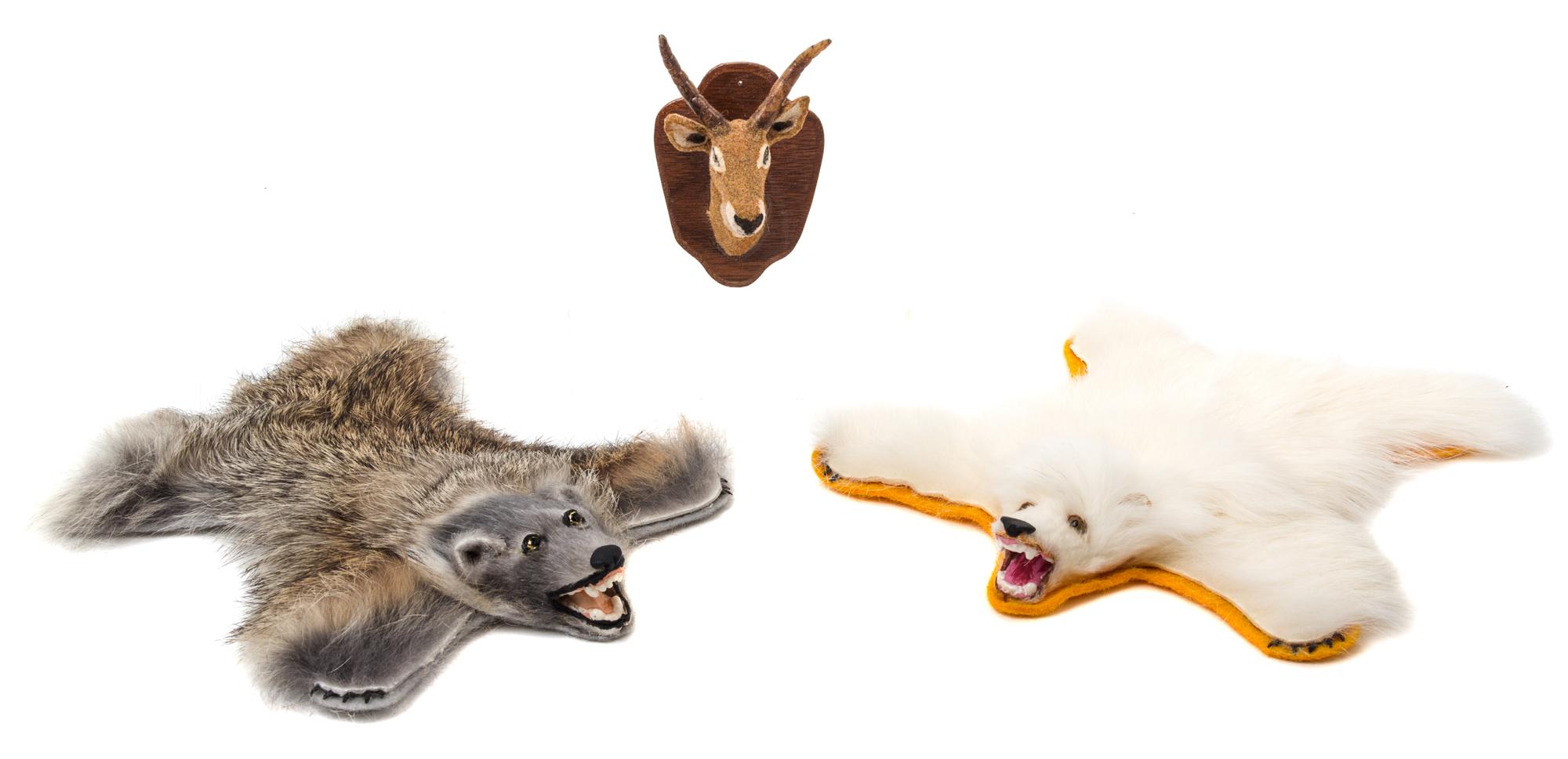 Three Models of Taxidermy Articles Length of longest 6 3/4 inches.