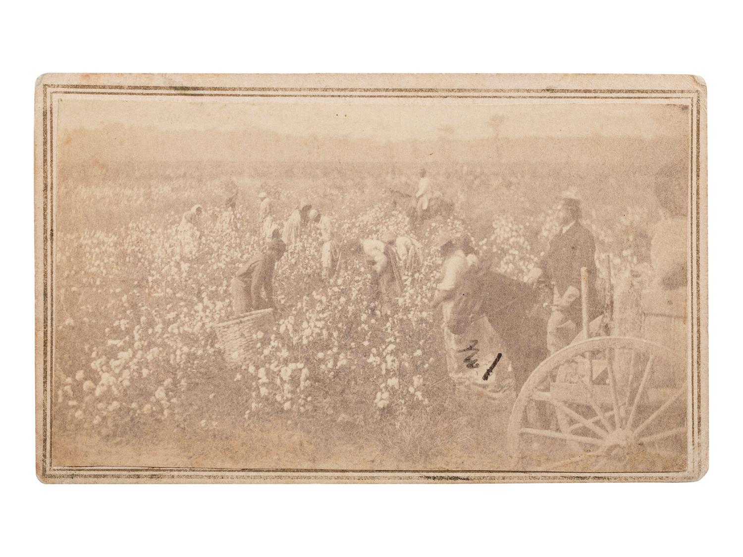 [SLAVERY & ABOLITION]. CDV of a plantation scene featuring enslaved workers picking cotton. Helena, AR: J.P. Jones, ca 1865.