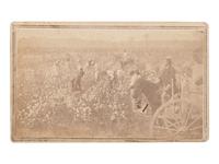 [SLAVERY & ABOLITION]. CDV of a plantation scene featuring enslaved workers picking cotton. Helena, AR: J.P. Jones, ca 1865.