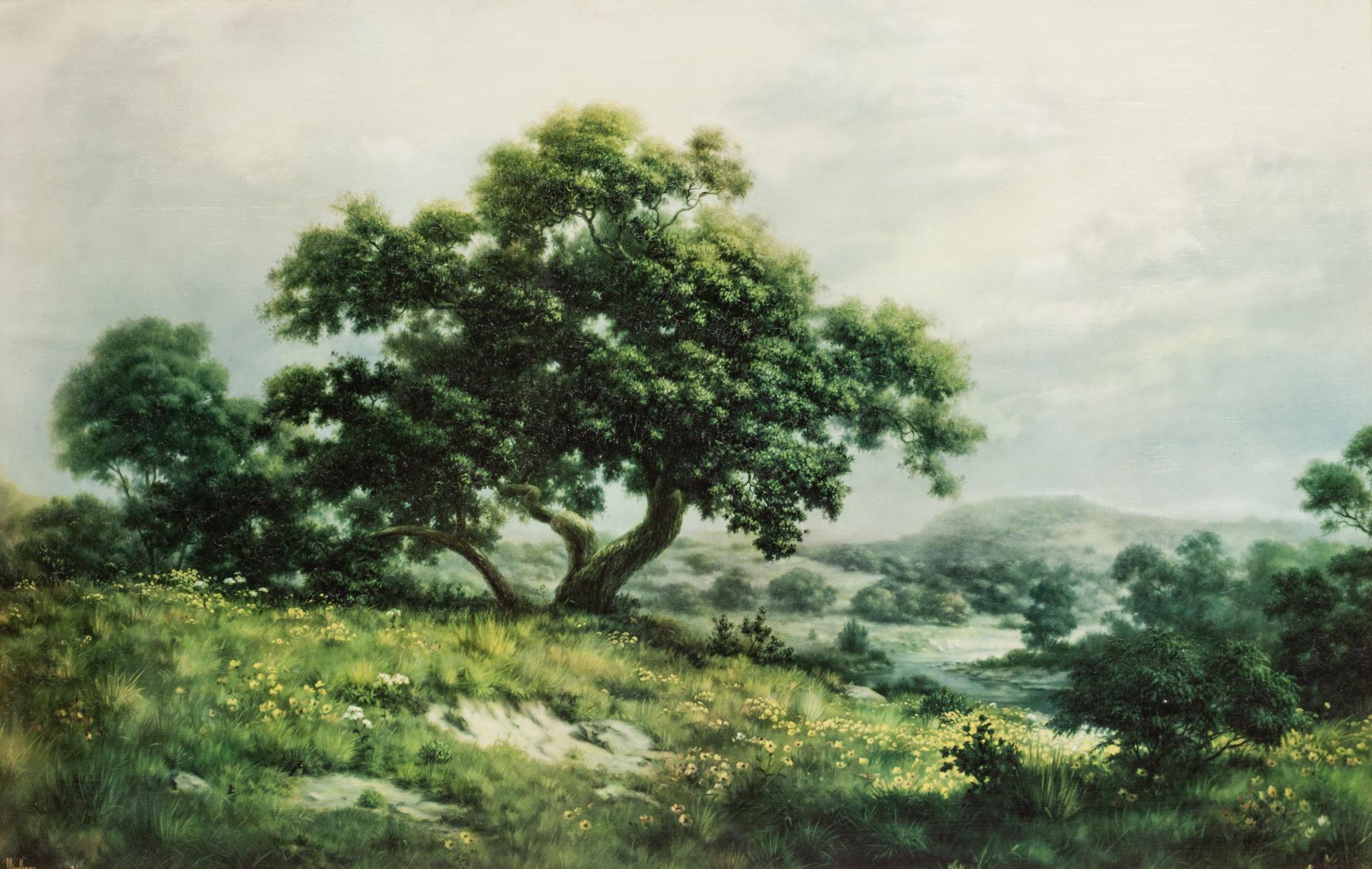 Big Tree