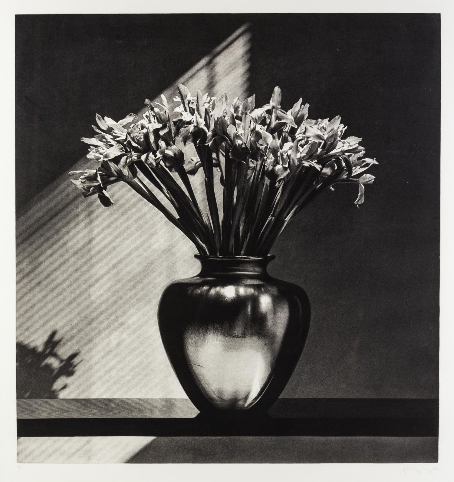 Robert Mapplethorpe, (American, 1946-1989), Irises, 1987