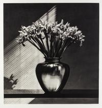 Robert Mapplethorpe, (American, 1946-1989), Irises, 1987