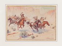 Capturing Wild Horses