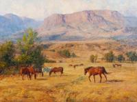 Horses in Pasture