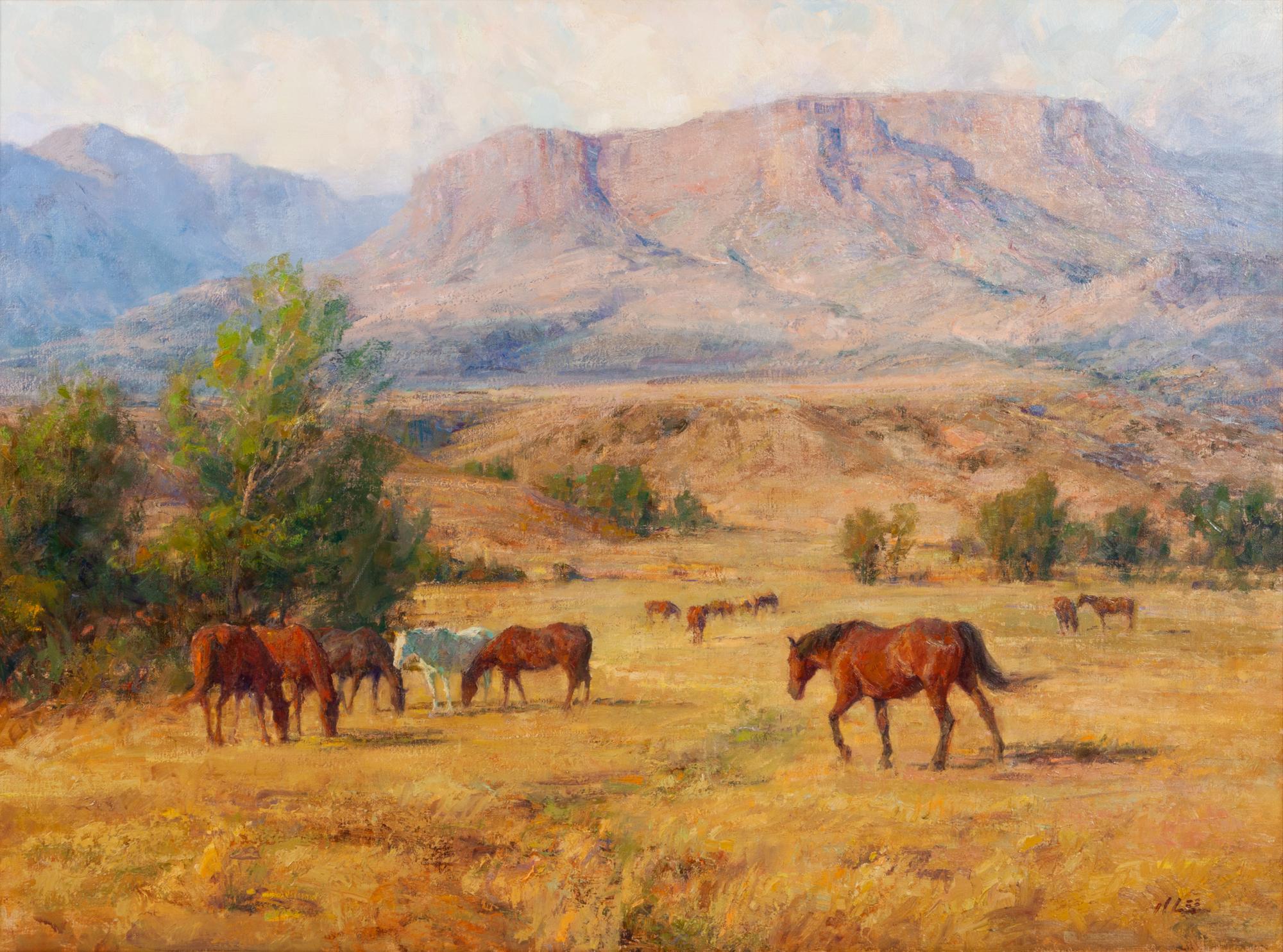 Horses in Pasture