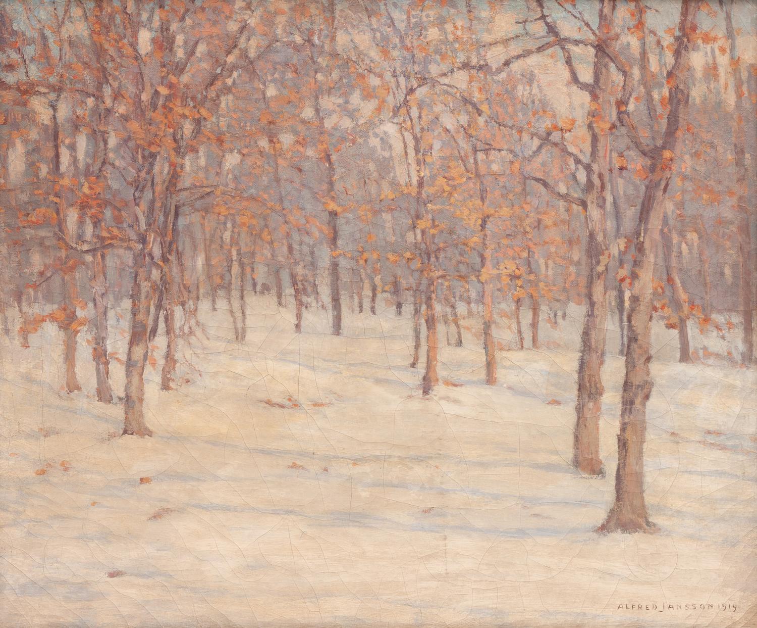 Trees in Winter