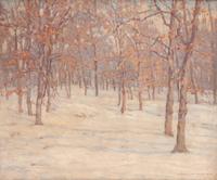 Trees in Winter