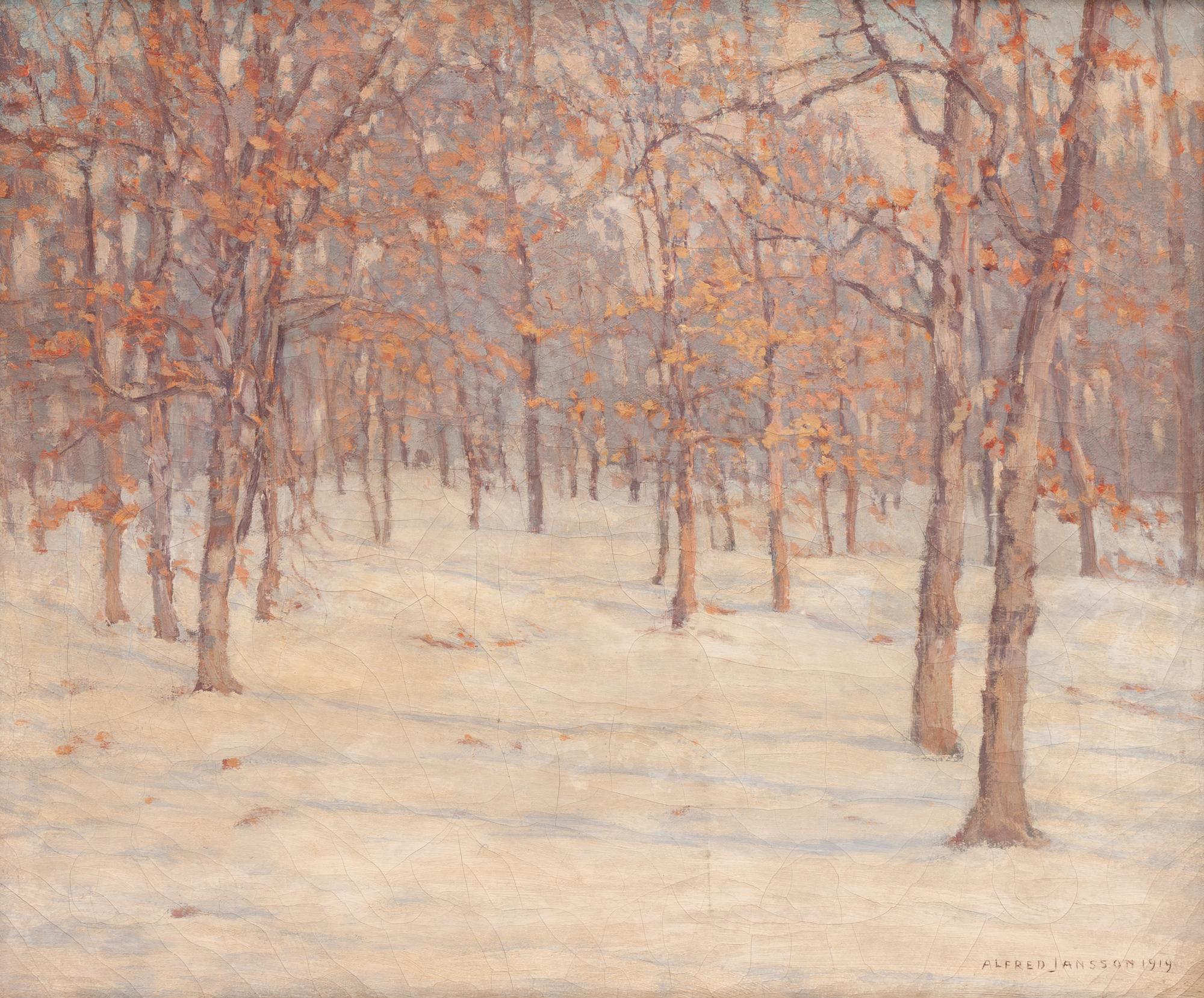 Trees in Winter