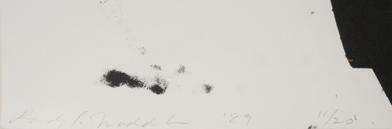 Extended Orbits (diptych)