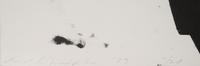 Extended Orbits (diptych)