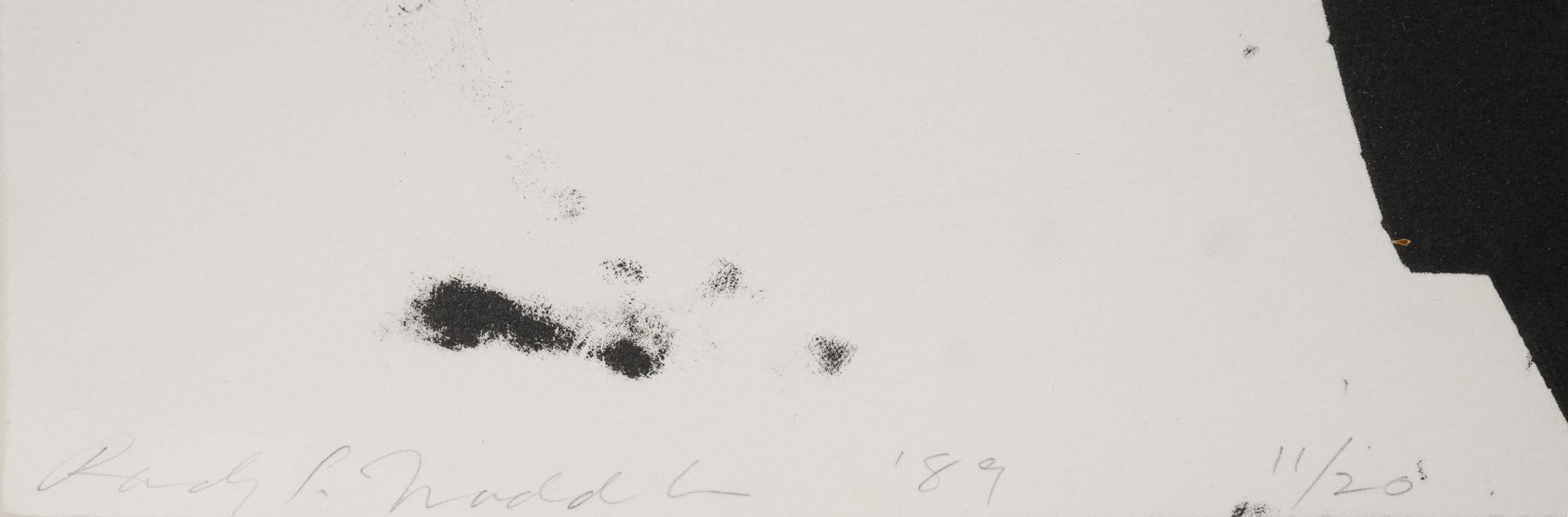Extended Orbits (diptych)