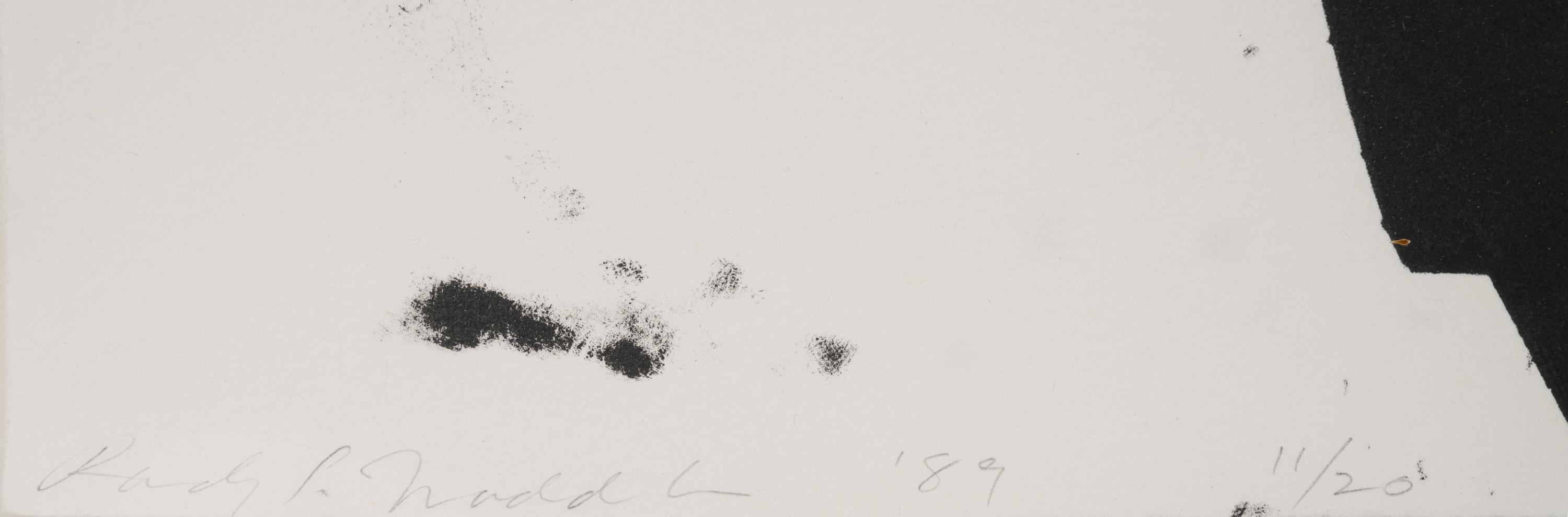 Extended Orbits (diptych)