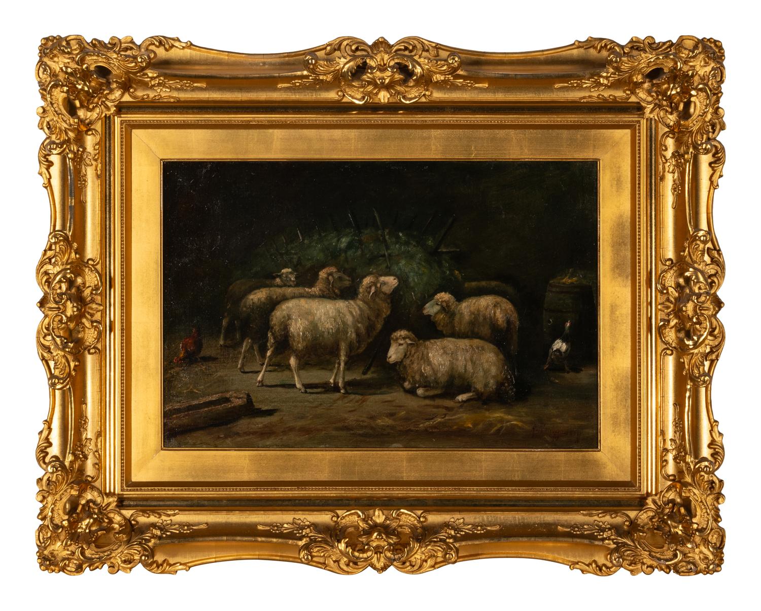 Sheep