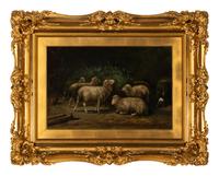 Sheep
