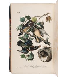AUDUBON, John James (1785-1851). The Birds of America, from Drawings Made in the United States and their Territories. New York and Philadelphia: J.J. Audubon and J.B. Chevalier, [1839-] 1840-1844.