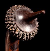A Fiji Pineapple Club or Totokia