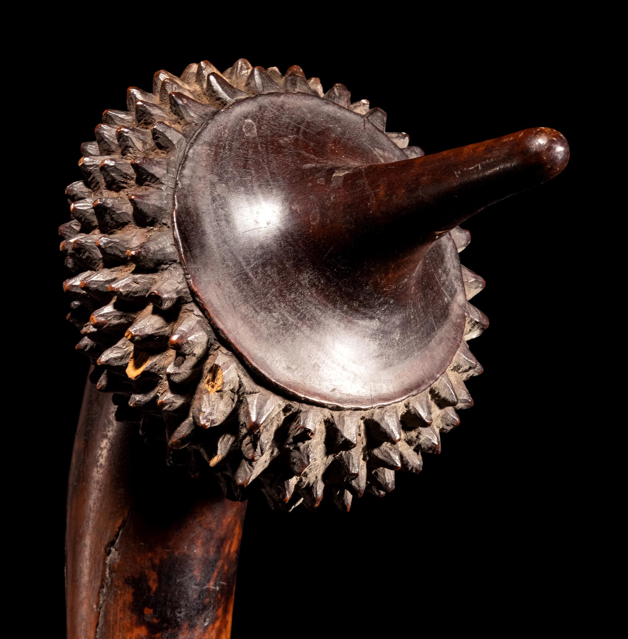 A Fiji Pineapple Club or Totokia