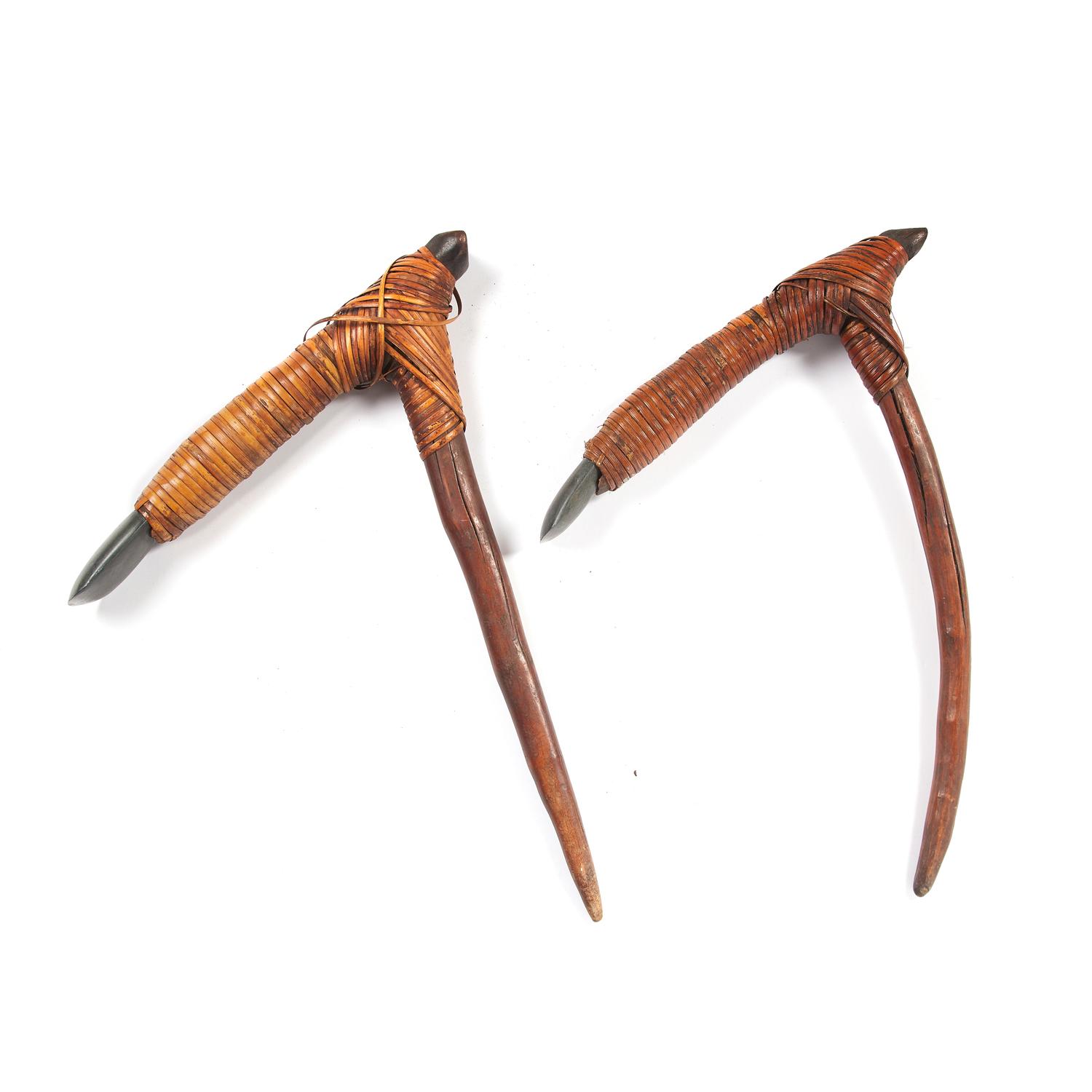 Two Asmat Adzes