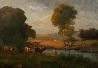Cows Watering Near the Farm