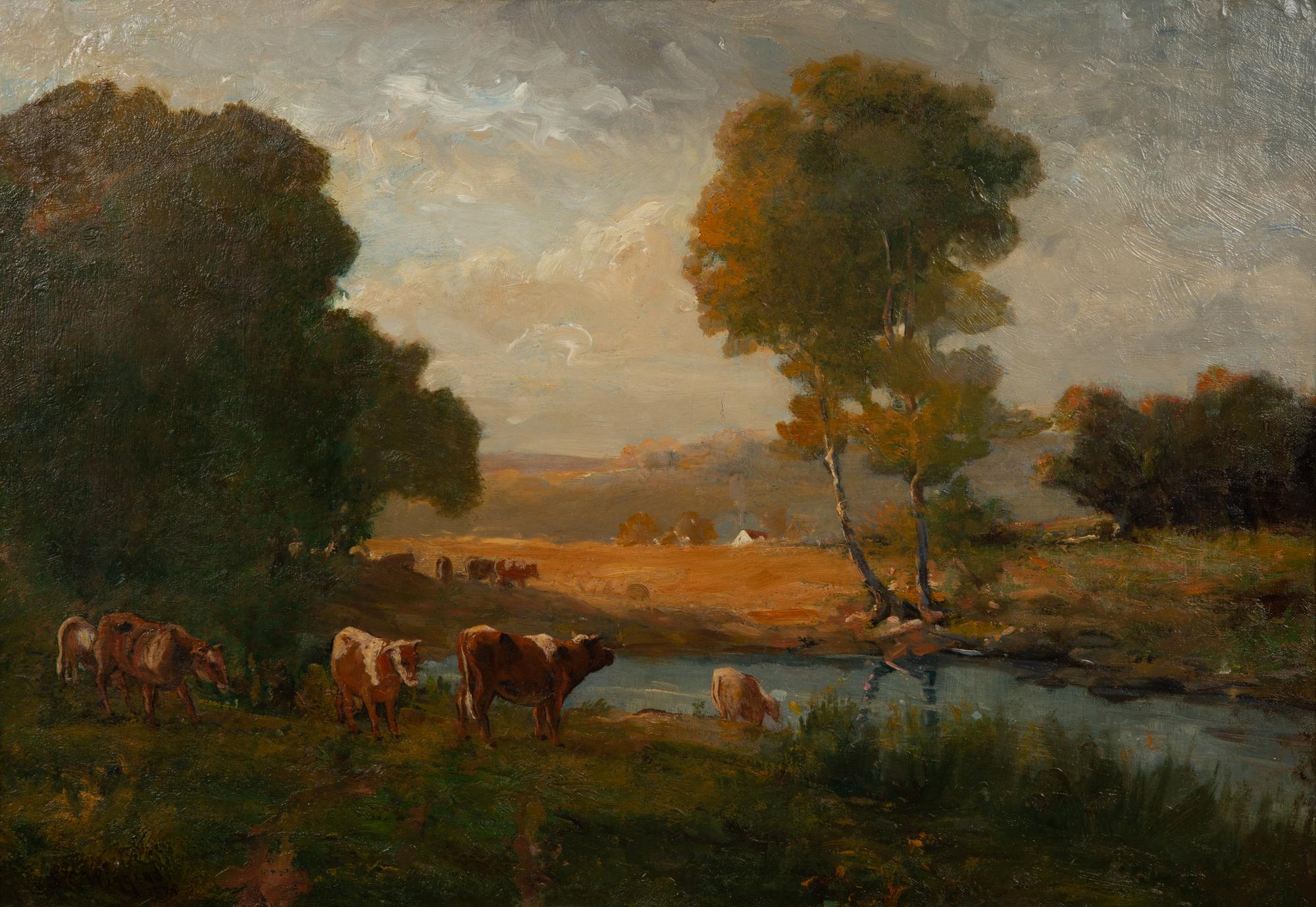 Cows Watering Near the Farm